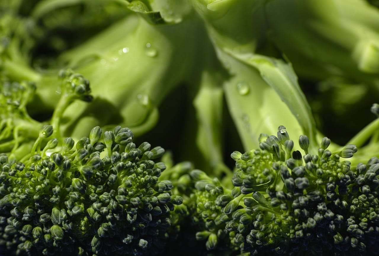 Mangiare Broccoli ogni giorno: i benefici per la salute e il controllo della glicemia